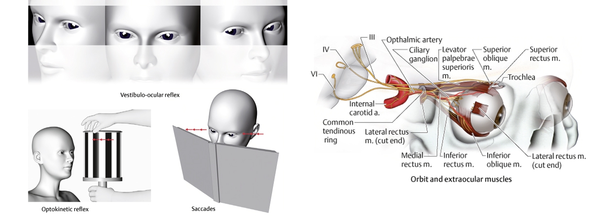 infografik_006-1250×450